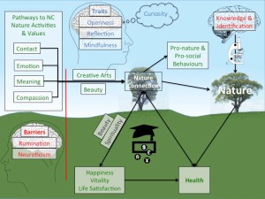 Why nature connection matters