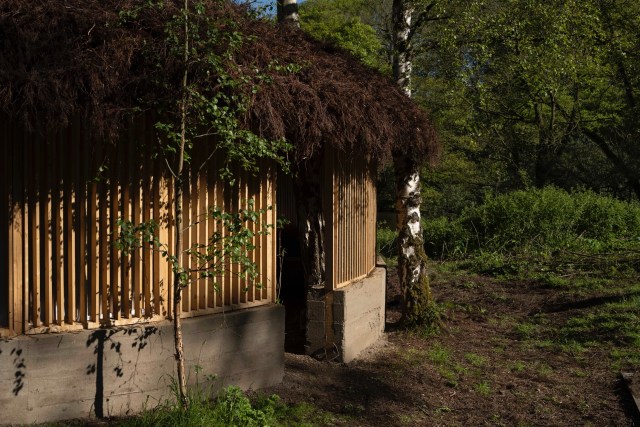 Heather and Ivan Morison, Silence - Alone in a World of Wounds, 2021. Commissioned by Yorkshire Sculpture Park on behalf of The Oak Project. Photography by Jonty Wilde.