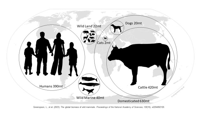 the biomass of wild mammals in comparison to the mass of humanity and its livestock