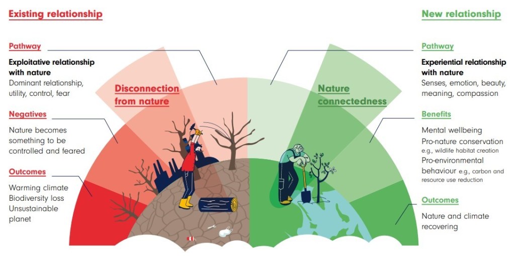 Connectedness Example Finding Nature | Nature Connectedness Research Blog by Prof. Miles ...